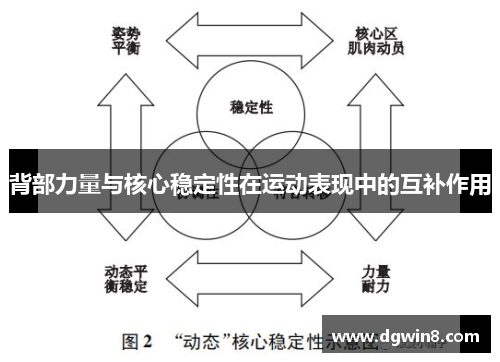 背部力量与核心稳定性在运动表现中的互补作用